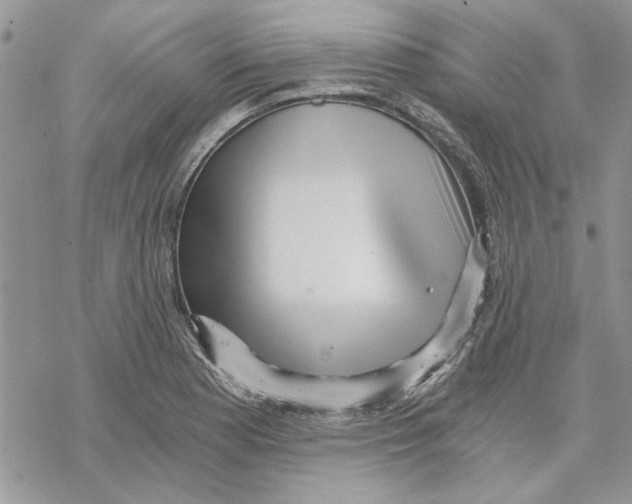 X0000069831177200606091438