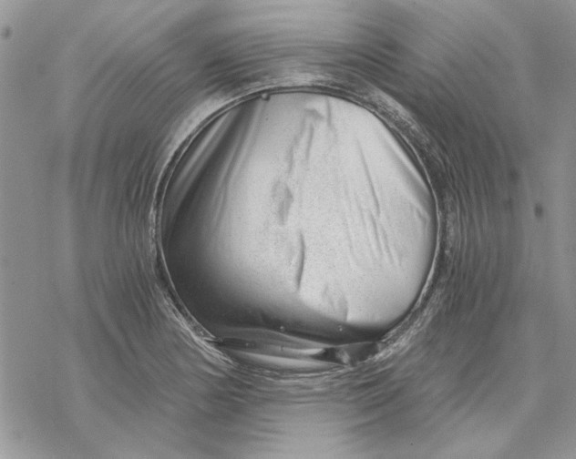 X0000069831178200606091438