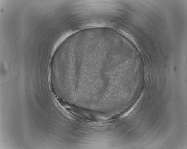 X0000069831179200606091438