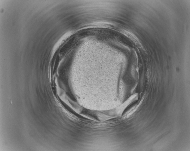 X0000069831180200606091438