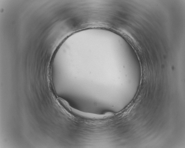 X0000069831182200606091438