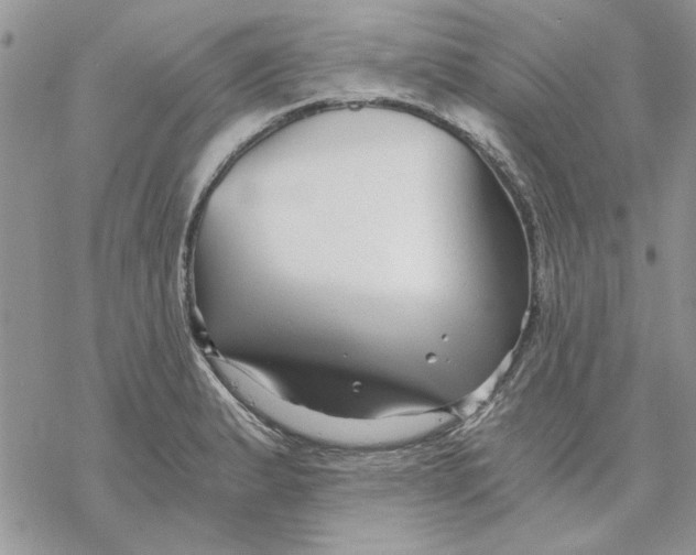 X0000069831183200606091438