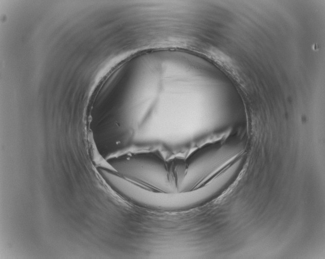 X0000069831184200606091438