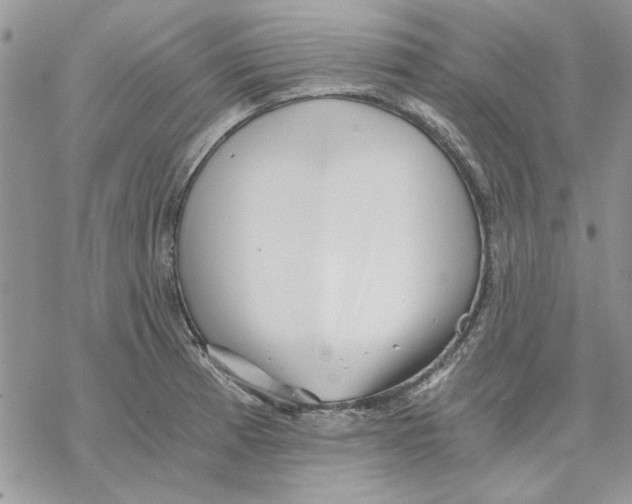 X0000069831185200606091438