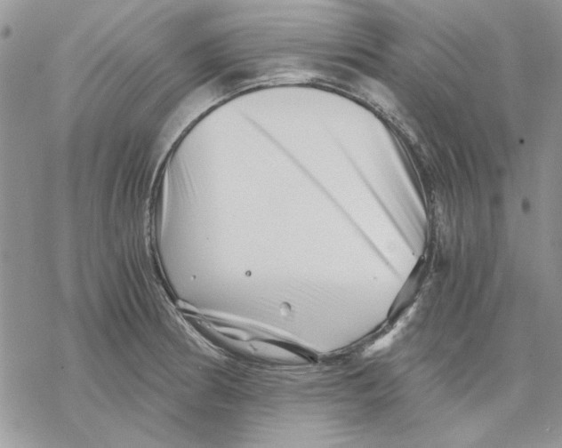 X0000069831186200606091438