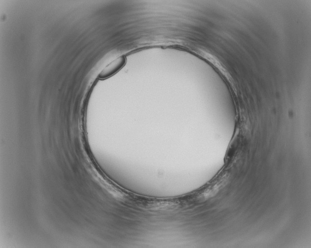 X0000069831187200606091438