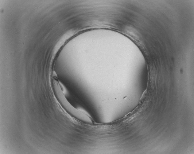 X0000069831188200606091438