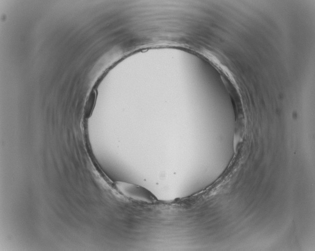 X0000069831189200606091438