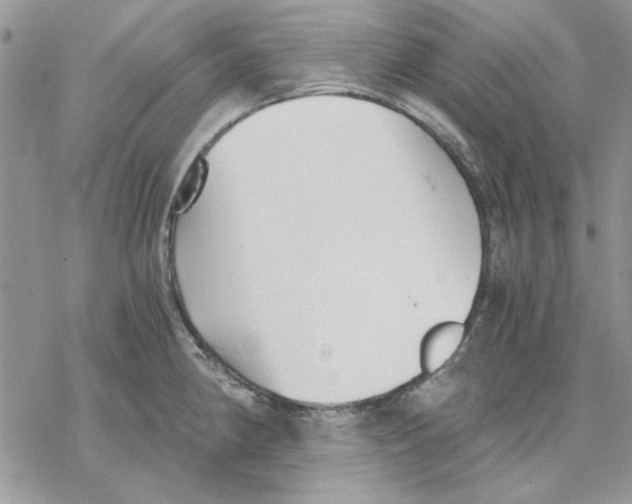 X0000069831190200606091438