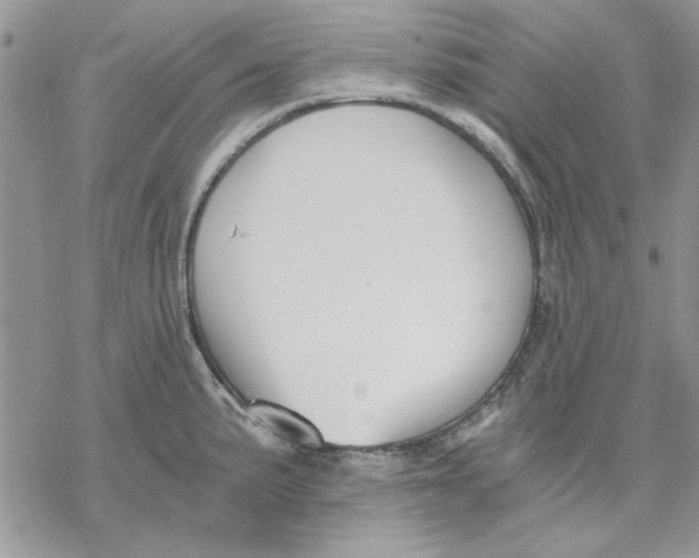 X0000069831191200606091438