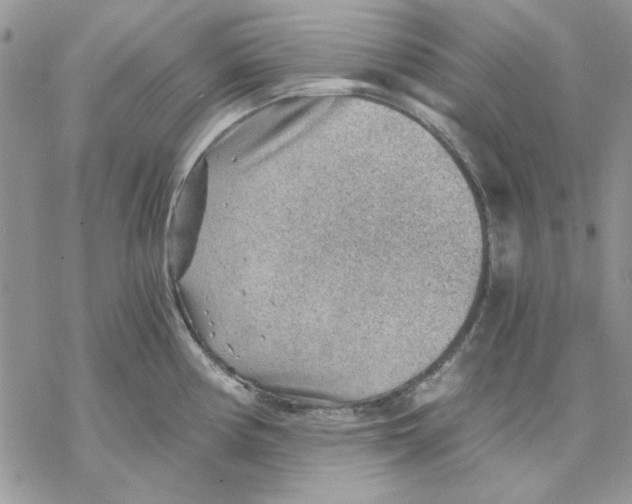 X0000069831194200606091438