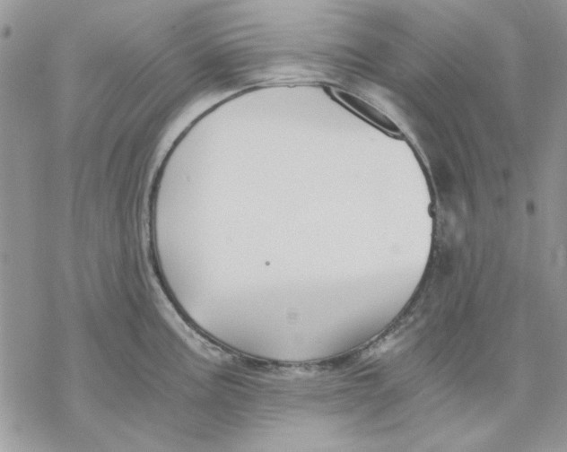 X0000069831195200606091438