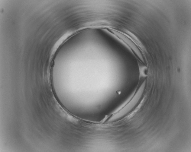 X0000069831196200606091438