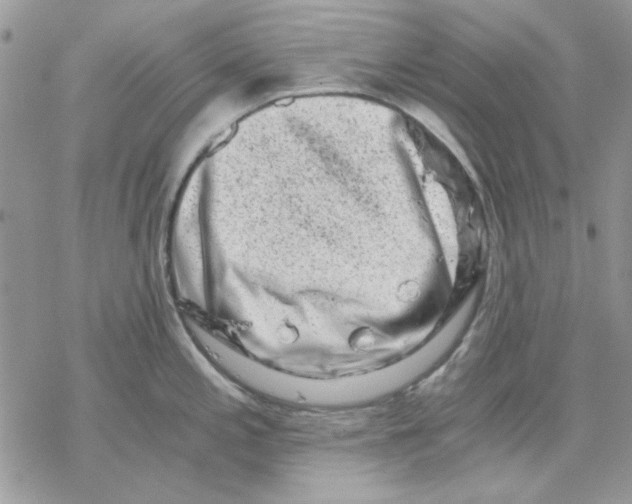 X0000069831197200606091438