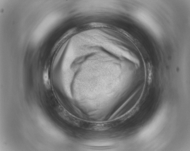 X0000069831198200606091438