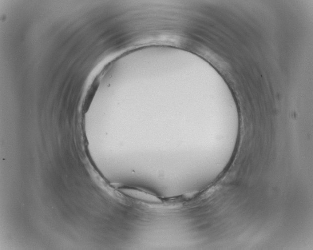 X0000069831200200606091438