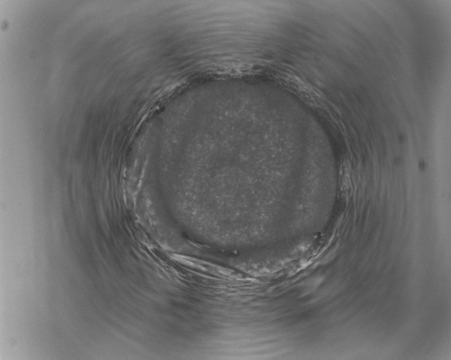 X0000069831202200606091437