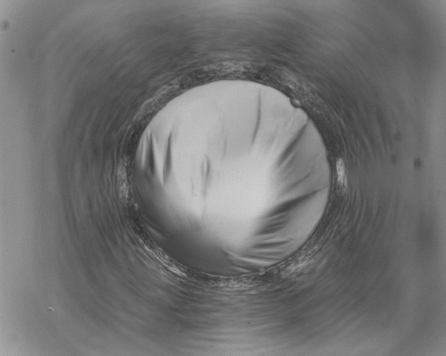 X0000069831203200606091437