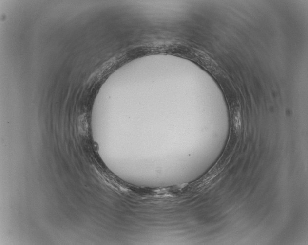 X0000069831204200606091437