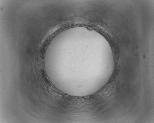 X0000069831207200606091437