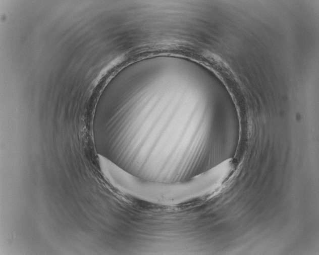 X0000069831210200606091437