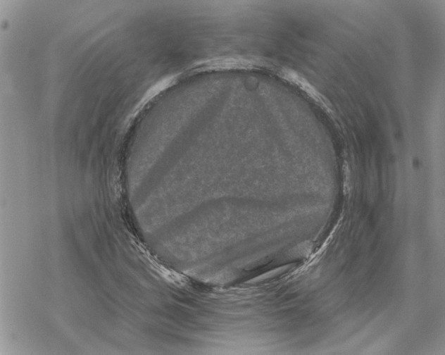 X0000069831213200606091437