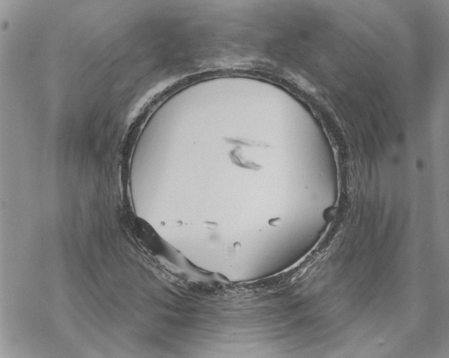 X0000069831214200606091437