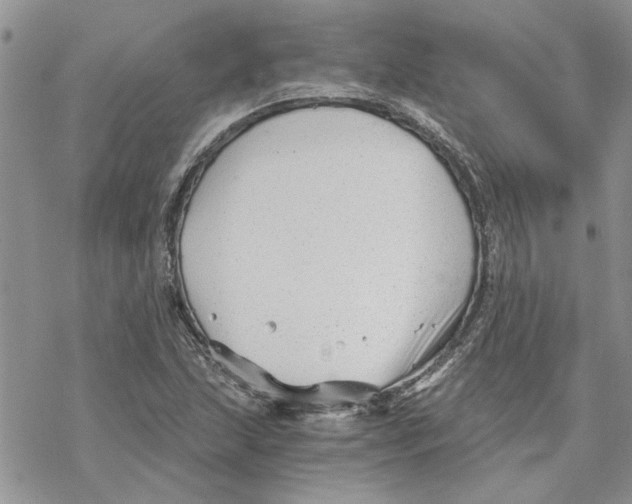 X0000069831215200606091437