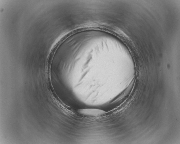 X0000069831216200606091437