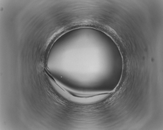 X0000069831218200606091437