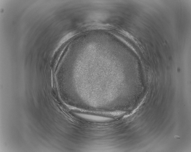 X0000069831219200606091437