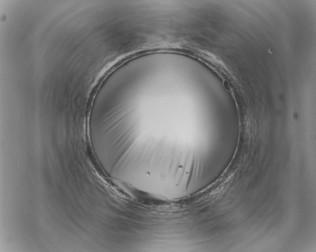 X0000069831220200606091437