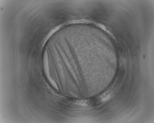 X0000069831221200606091437