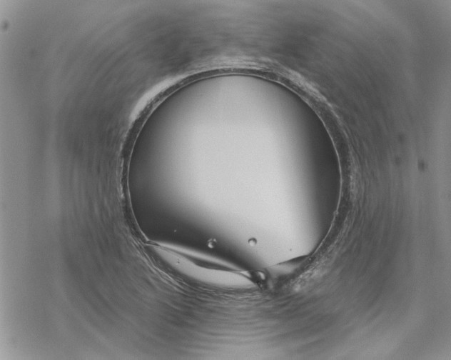 X0000069831222200606091437