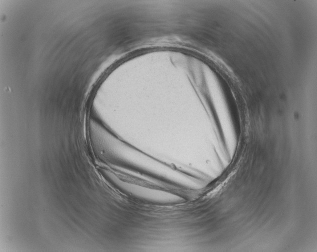 X0000069831224200606091437