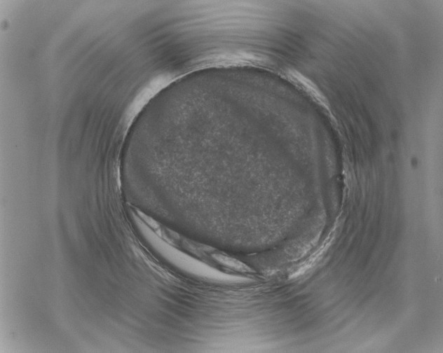 X0000069831226200606091437