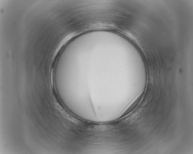 X0000069831227200606091437