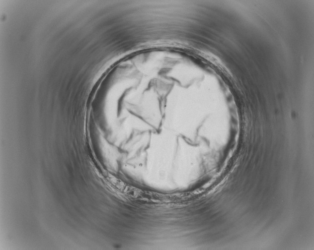 X0000069831228200606091438