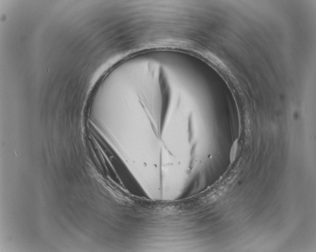 X0000069831230200606091438