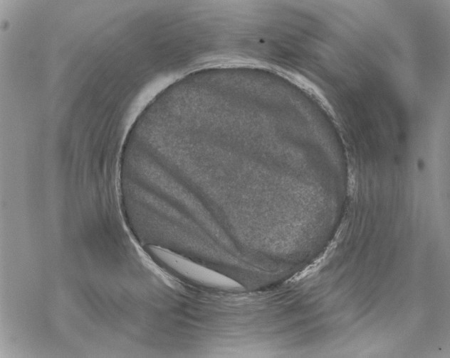 X0000069831231200606091438