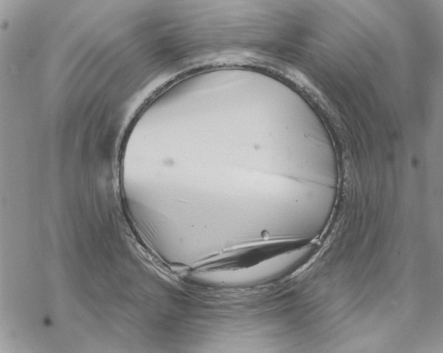 X0000069831232200606091438