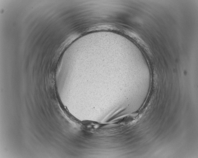 X0000069831233200606091438