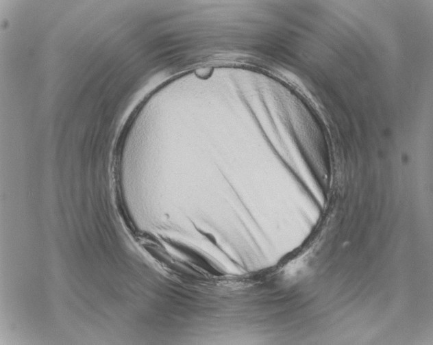 X0000069831235200606091438