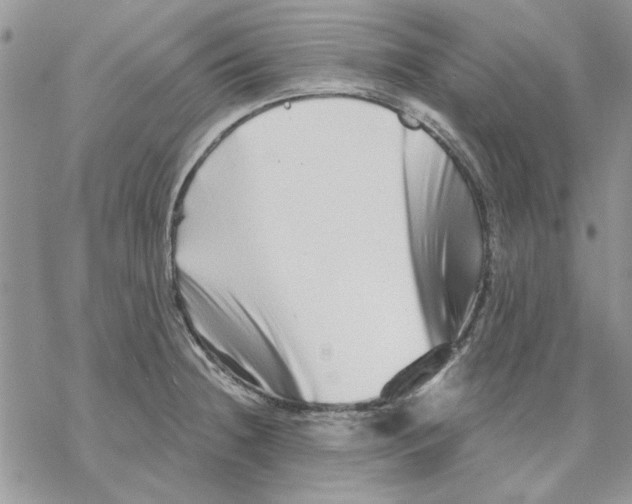 X0000069831236200606091438