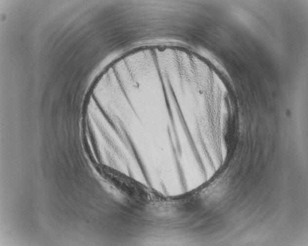 X0000069831237200606091438