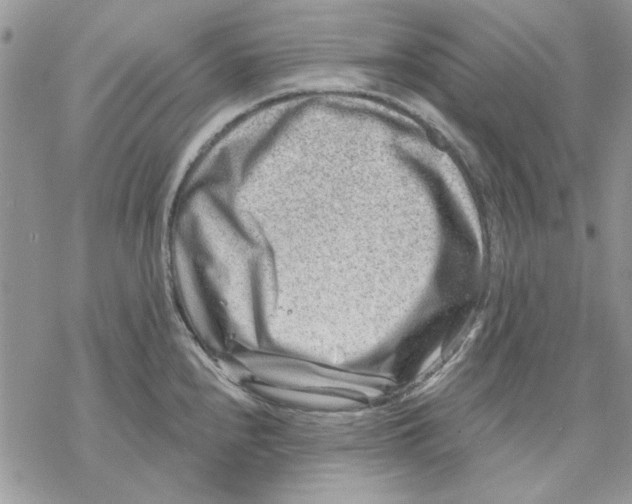 X0000069831240200606091438