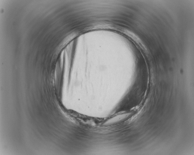 X0000069831241200606091438