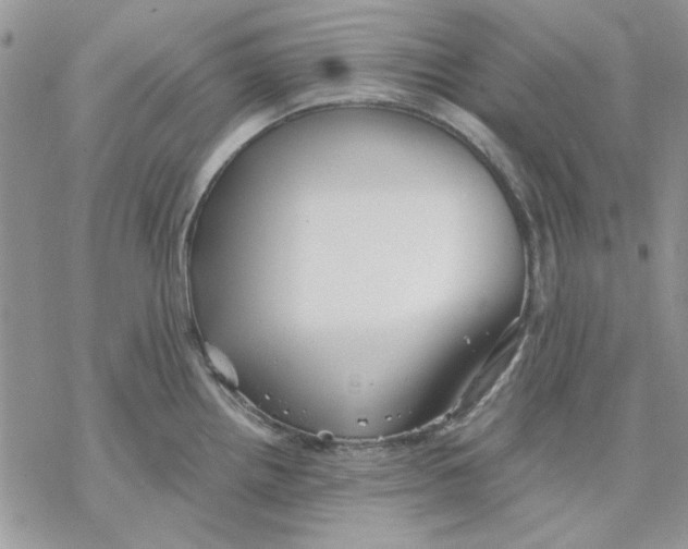 X0000069831242200606091438