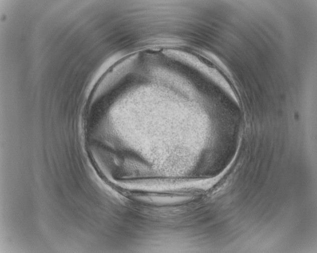 X0000069831243200606091438