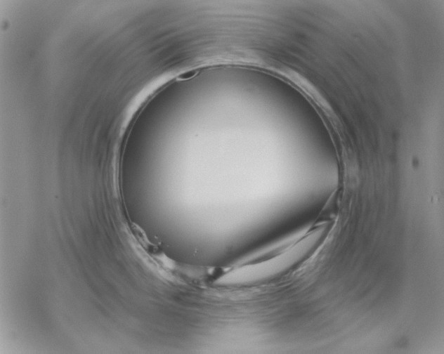 X0000069831246200606091438